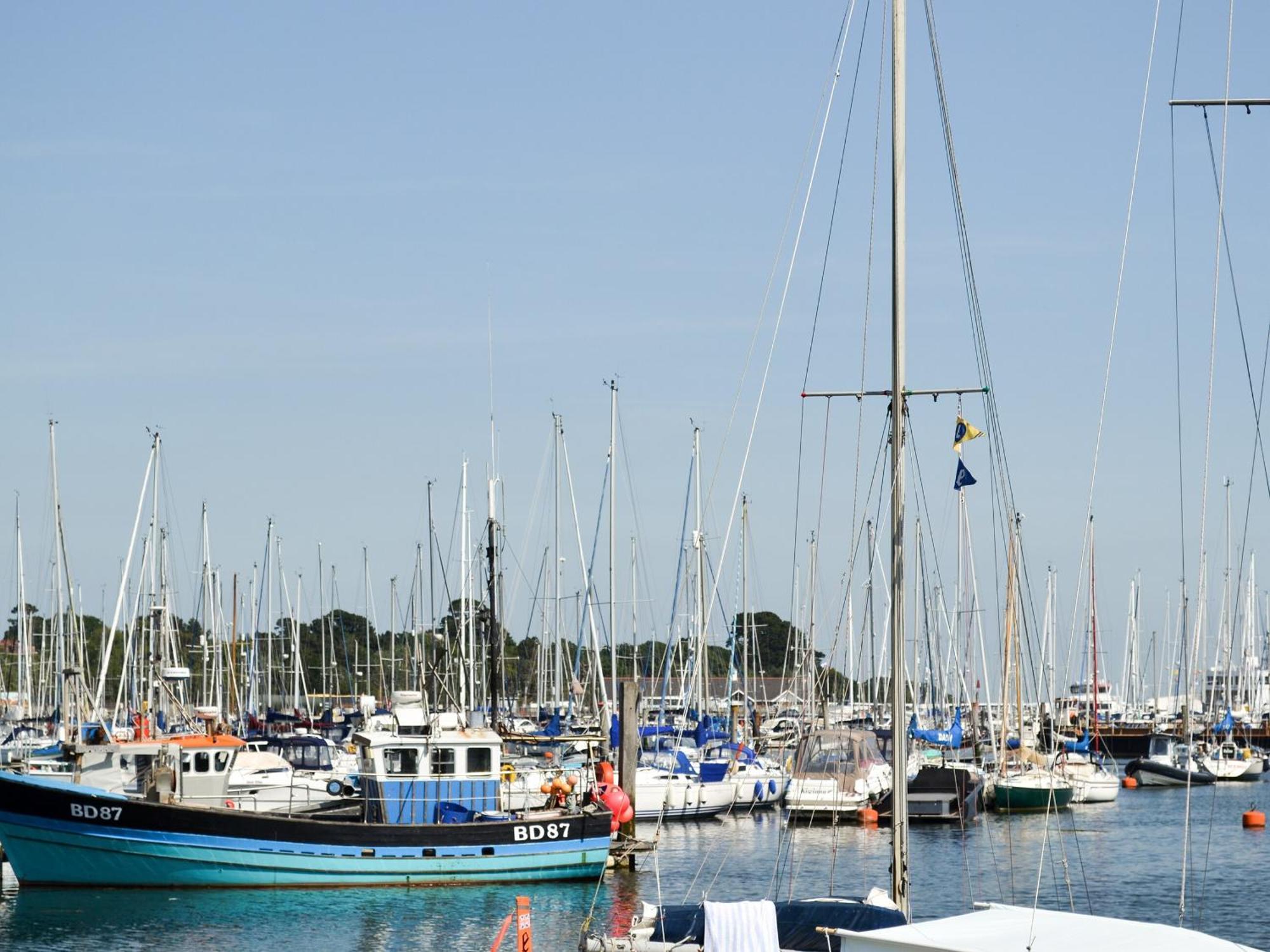 Irenic Lodge Netley Marsh Esterno foto